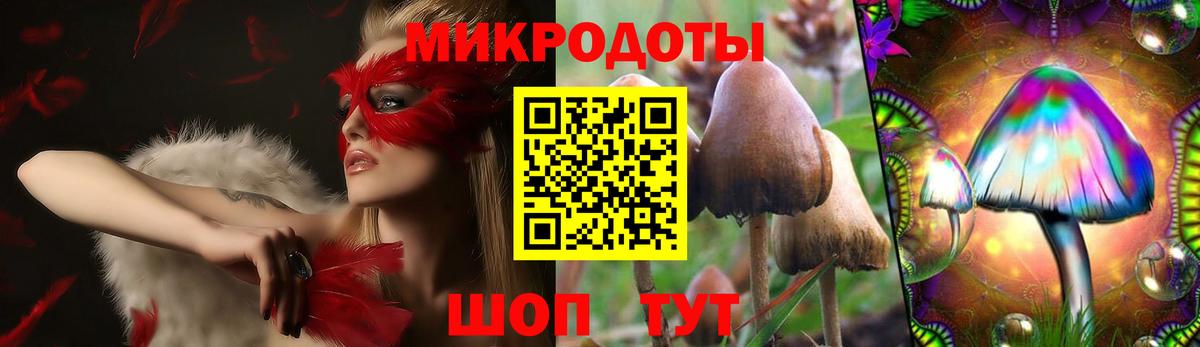 Псилоцибиновые грибы MAGIC MUSHROOMS  Вход с VPN  Ярославль  купить закладку  Галлюциногенные грибы Psilocybine cubensis 